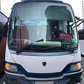 BeeBus 小型旅遊巴